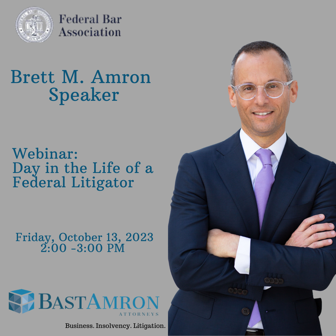 DAY IN THE LIFE OF A FEDERAL LITIGATOR WEBINAR WITH BRETT AMRON