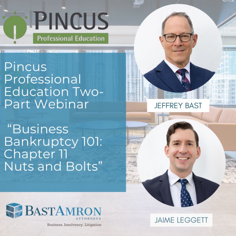 JEFFREY BAST AND JAIME LEGGETT PRESENT ON TWO-PART WEBINAR NUTS AND BOLTS HOSTED BY PINCUS PROFESSIONAL EDUCATION